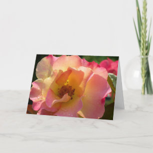 Tarjeta Di Que Te Amo Con Un Rosa