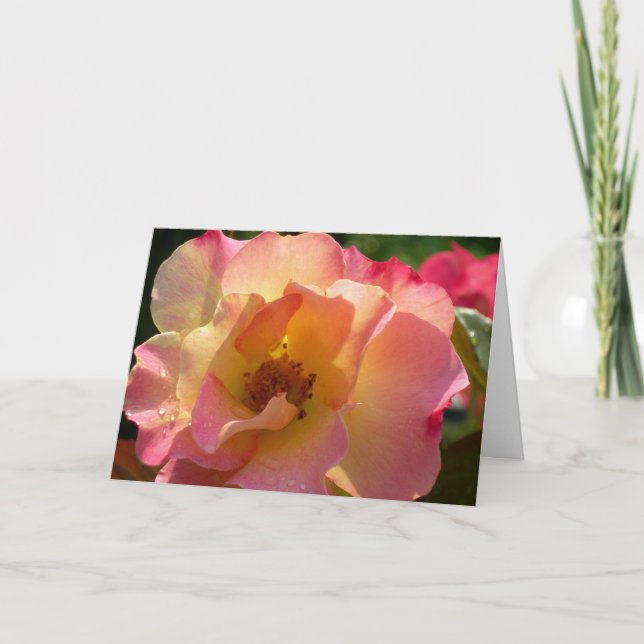 Tarjeta Di Que Te Amo Con Un Rosa (Anverso)