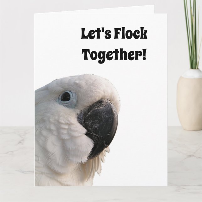 Tarjeta Día de la Amistad Cockatoo Flock Funny Photo (Anverso)