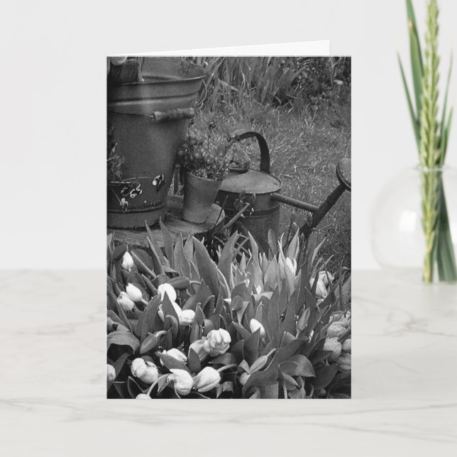TARJETA DÍA DE LA MADRE A UNA MUJER ESPECIAL EN SU VIDA (Anverso)