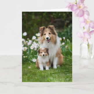 Tarjeta Día de la Madre Amor Mamá Sheltie