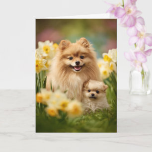 Tarjeta Día de la Madre Amor Pomerania Mamá