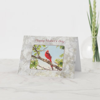 Tarjeta Día de la Madre, Cardenal