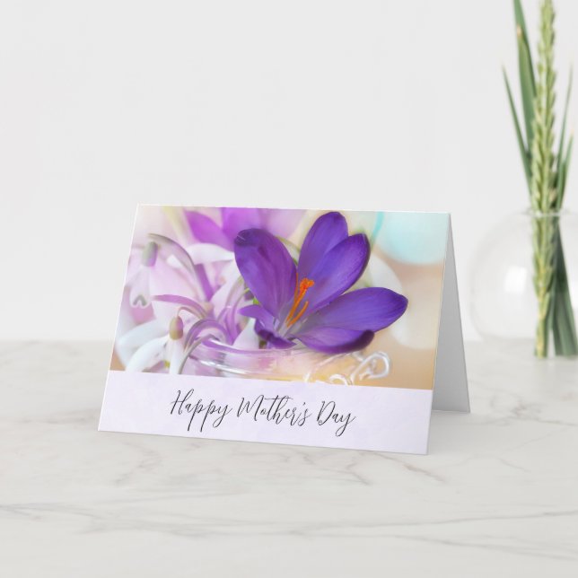 Tarjeta Día de la Madre Crocus de la Primavera Púrpura (Anverso)