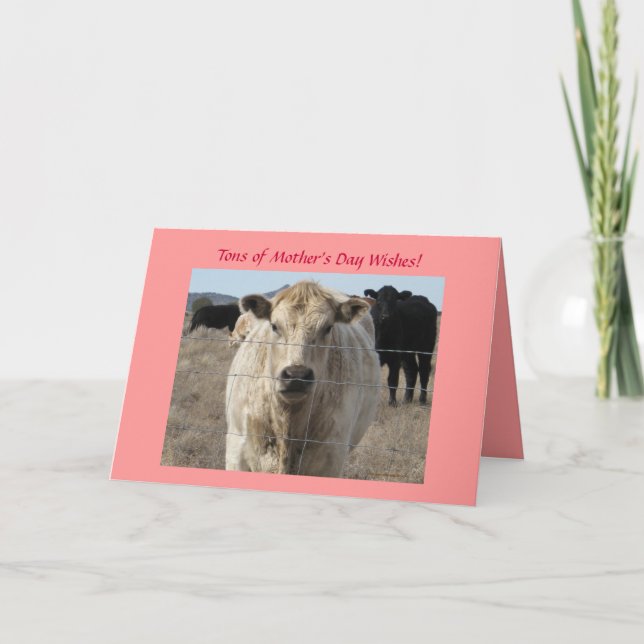 Tarjeta Día de la Madre - Cuta vaca blanca - Rancho o gran (Anverso)