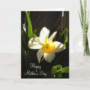 Tarjeta Día de la Madre Daffodil