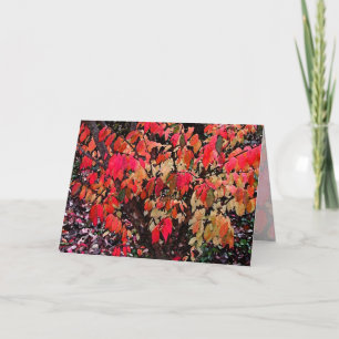 Tarjeta Día de la Madre de Bush en llamas