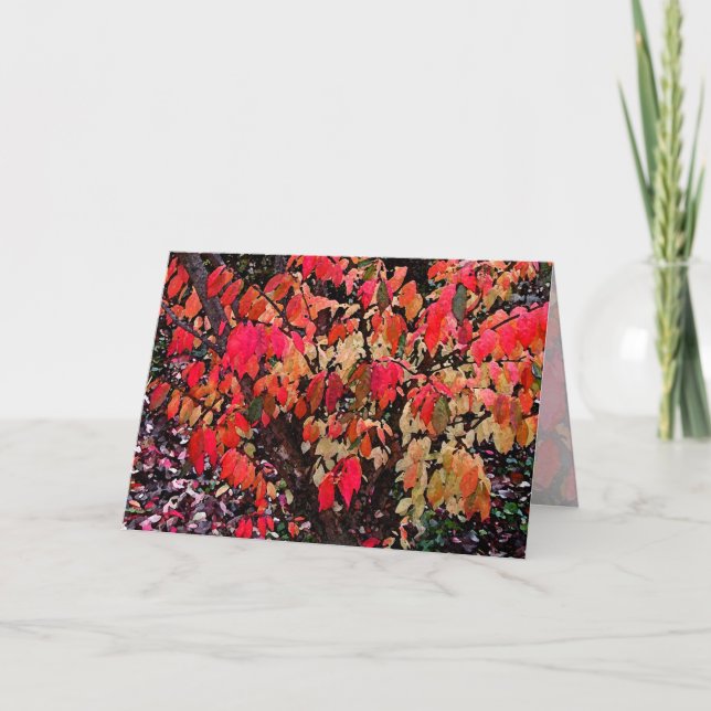 Tarjeta Día de la Madre de Bush en llamas (Anverso)