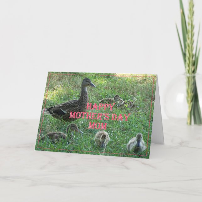 Tarjeta Día de la Madre de Patos y Ducklings (Anverso)