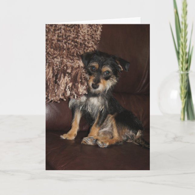 Tarjeta Día de la madre de perro, lindo y adorable (Anverso)