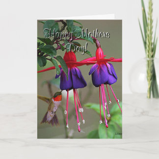 Tarjeta Día de la Madre del fucsia y del colibrí