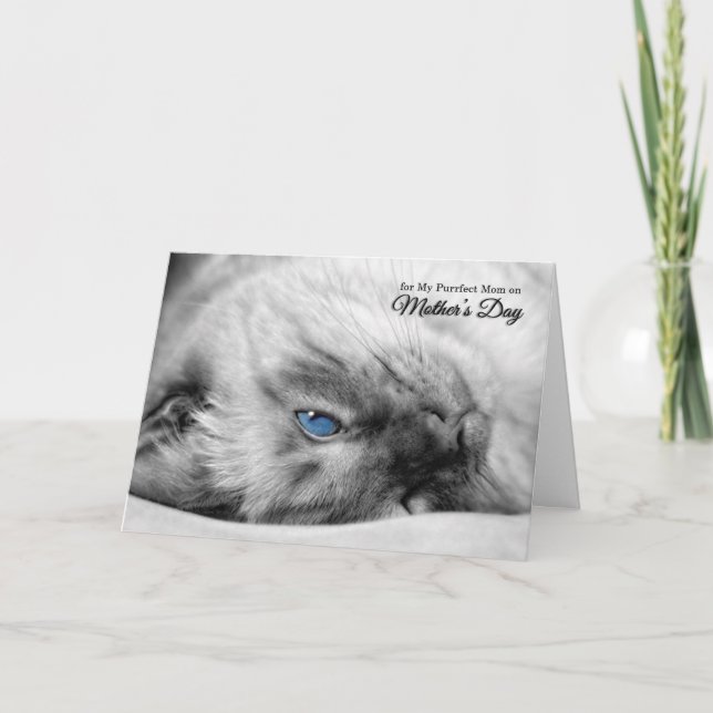 Tarjeta Día de la Madre del gato siamés (Anverso)