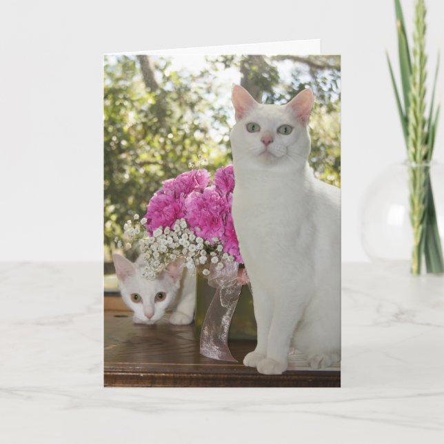 Tarjeta Día de la Madre del Gato y el Gato de bonito (Anverso)