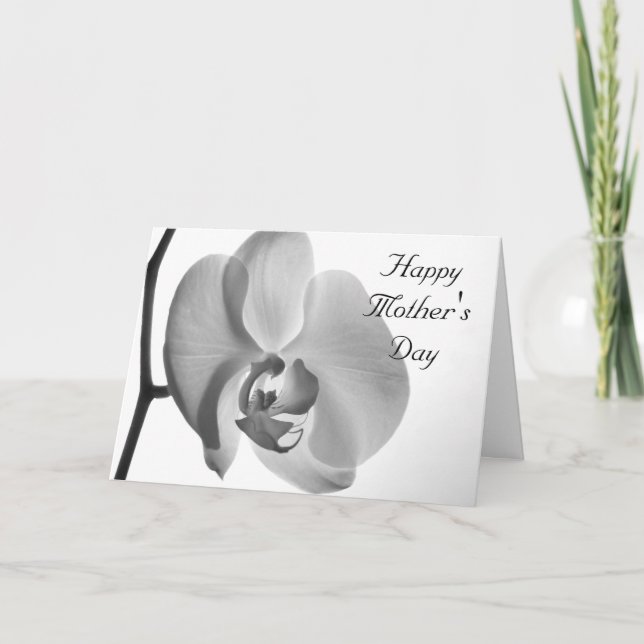 Tarjeta Día de la Madre feliz de la orquídea blanca (Anverso)