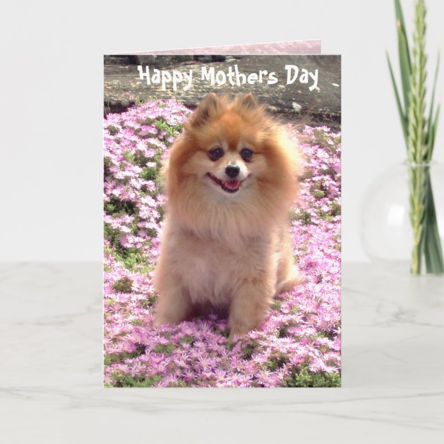 Tarjeta Día de la Madre feliz rosado de Pomeranian de la (Anverso)
