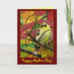 Tarjeta Día de la Madre Goldfinch