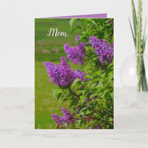 Tarjeta Día de la Madre, hermosas flores, lilatas, bonito