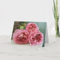 Día de la Madre inglés de la herencia de los rosas