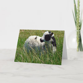 Tarjeta Día de la Madre Jacob Ram Lamb