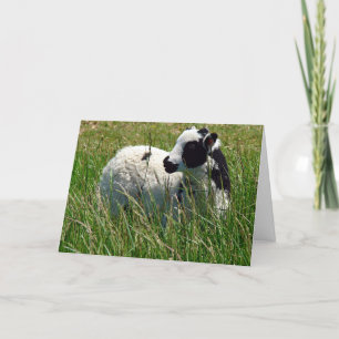 Tarjeta Día de la Madre Jacob Ram Lamb