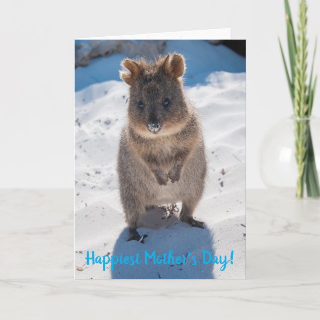 Tarjeta Día de la Madre más Feliz Cute Quokka Playa (Anverso)