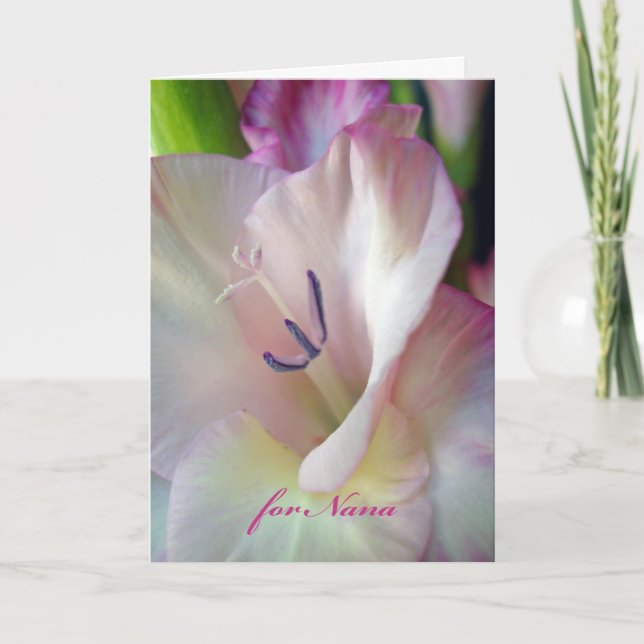 Tarjeta Día de la Madre para Nana, Flor de Gladiolus Rosa (Anverso)