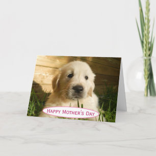 Tarjeta Día de la Madre Perro Mamá La Mejor Foto de Mascot