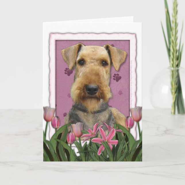 Tarjeta Día de la Madre - Tulipanes rosados - Airedale (Anverso)