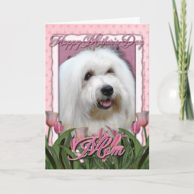 Tarjeta Día de la Madre - tulipanes rosados - algodón de (Anverso)