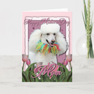 Tarjeta Día de la Madre - tulipanes rosados - caniche -