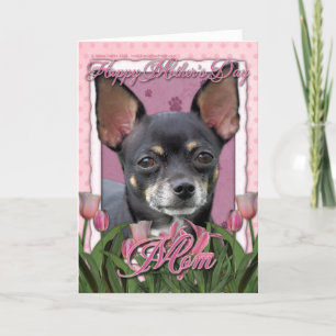 Tarjeta Día de la Madre - tulipanes rosados - chihuahua -