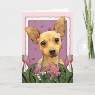 Tarjeta Día de la Madre - tulipanes rosados - chihuahua