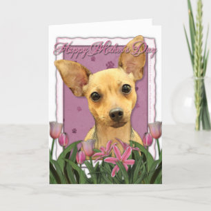 Tarjeta Día de la Madre - tulipanes rosados - chihuahua