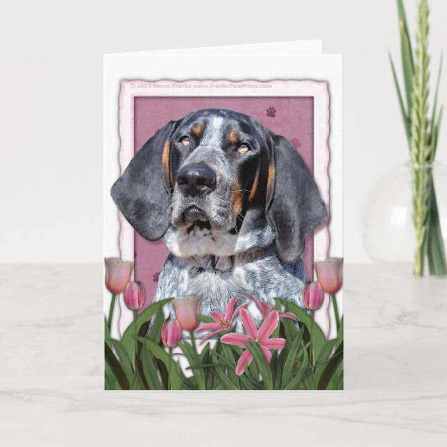 Tarjeta Día de la Madre - tulipanes rosados - Coonhound de (Anverso)
