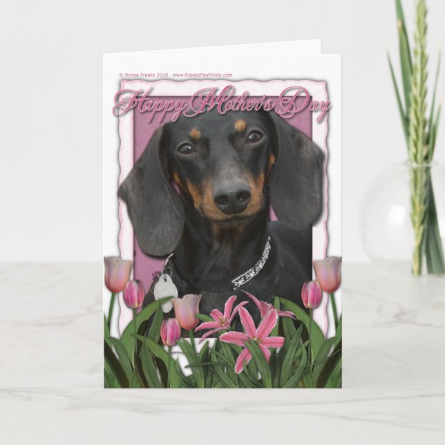 Tarjeta Día de la Madre - Tulipanes rosados - Dachshund -  (Anverso)
