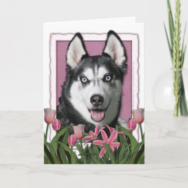 Tarjeta Día de la Madre - tulipanes rosados - husky (Anverso)