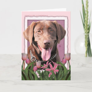 Tarjeta Día de la Madre - Tulipanes rosados - Labrador - C