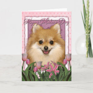 Tarjeta Día de la Madre - tulipanes rosados - Pomeranian