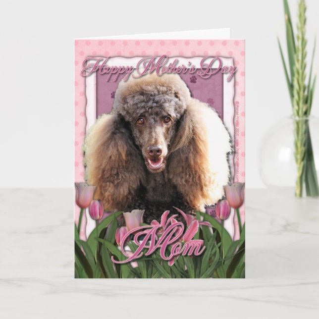 Tarjeta Día de la Madre - Tulipanes rosados - Poodle - Cho (Anverso)