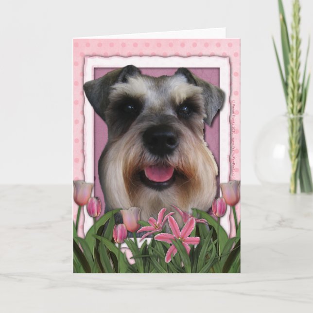 Tarjeta Día de la Madre - Tulipanes rosados - Schnauzer (Anverso)