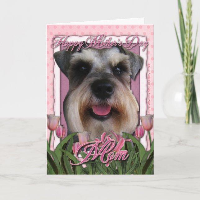 Tarjeta Día de la Madre - tulipanes rosados - Schnauzer (Anverso)