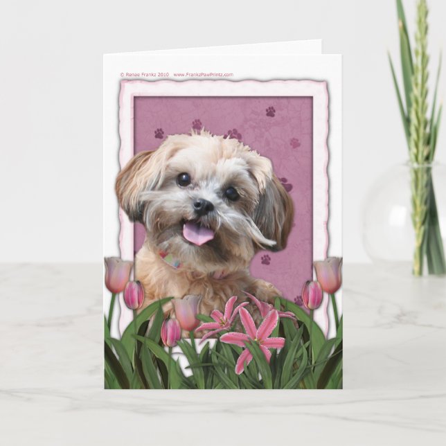 Tarjeta Día de la Madre - tulipanes rosados - ShihPoo - (Anverso)