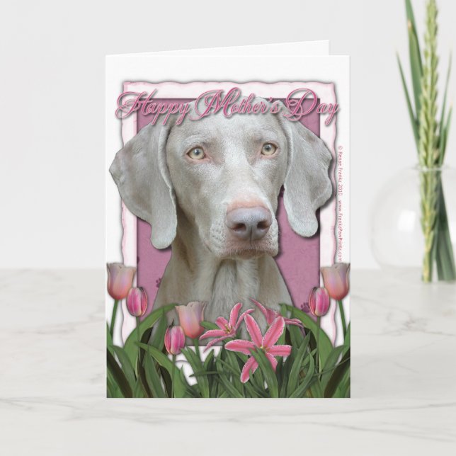 Tarjeta Día de la Madre - Tulipanes rosados - Weimaraner - (Anverso)