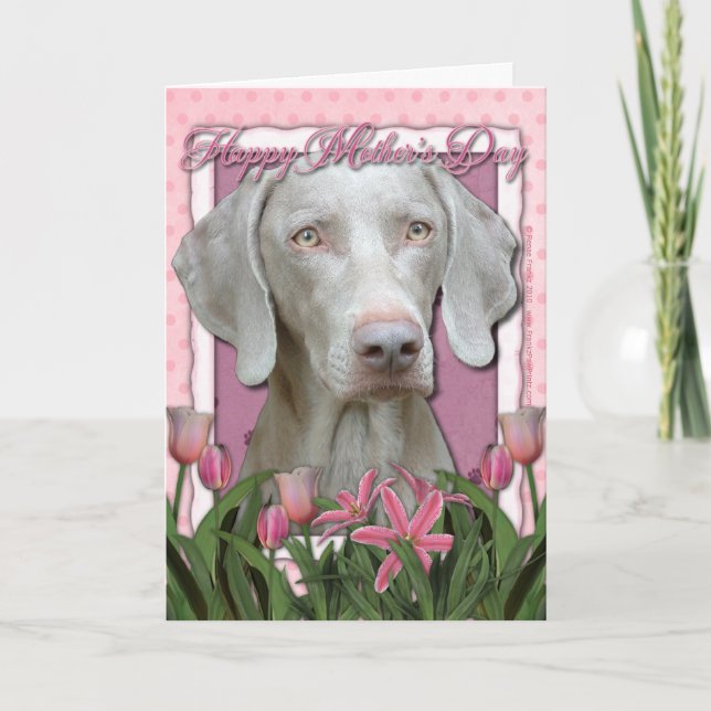 Tarjeta Día de la Madre - Tulipanes rosados - Weimaraner - (Anverso)