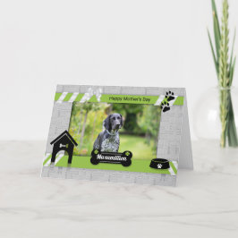Tarjeta Día de la Madre Verde de la foto del perro