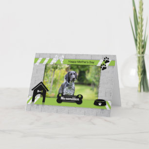Tarjeta Día de la Madre Verde de la foto del perro