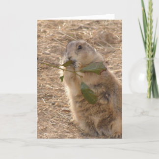 Tarjeta Día de la Marmota