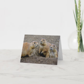 Tarjeta Día de la marmota