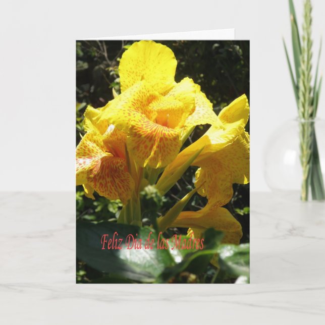 Tarjeta dia de las madres (Anverso)