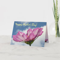 Día de las Madres Cosmos